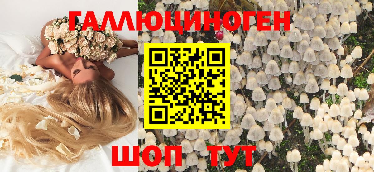 Галлюциногенные грибы прущие грибы Гай