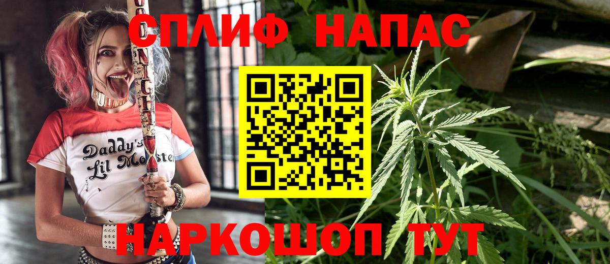 Каннабис AK-47 Гай